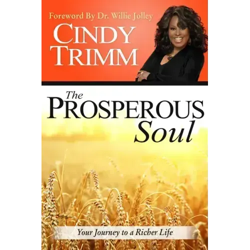 The Prosperous Soul: Your Journey to a Richer Life