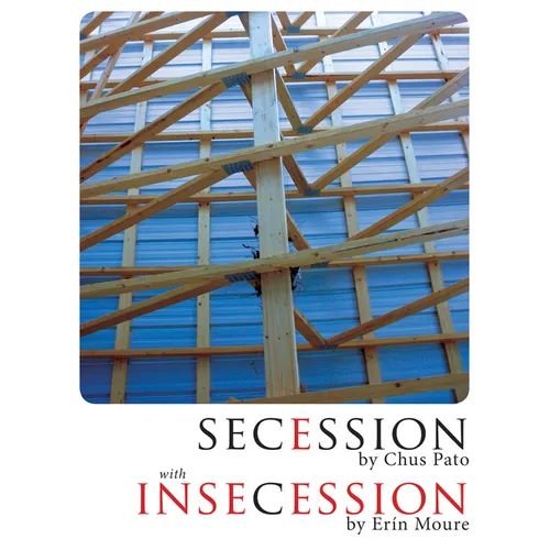 Secession/Insecession