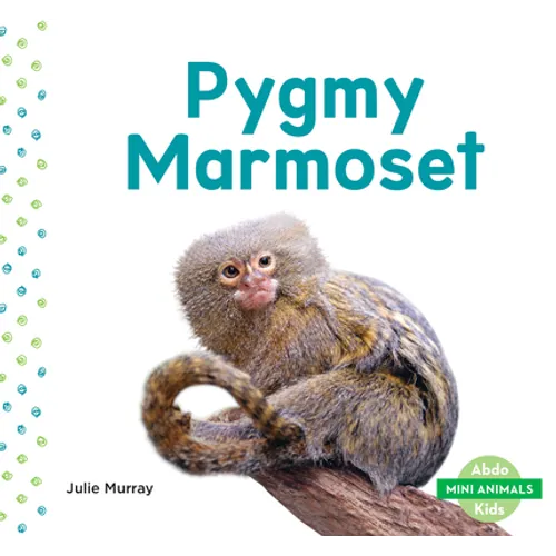 Pygmy Marmoset
