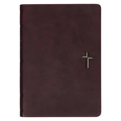 NLT Holy Bible Everyday Devotional Bible for Men New Living Translation, Vegan Leather, Cross Emblem
