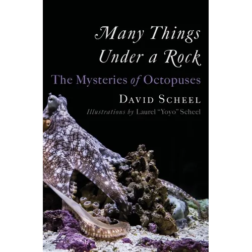 Many Things Under a Rock: The Mysteries of Octopuses