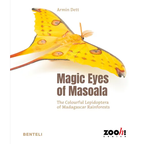 Magic Eyes of Masoala: The Colourful Lepidoptera of Madagascar Rainforests