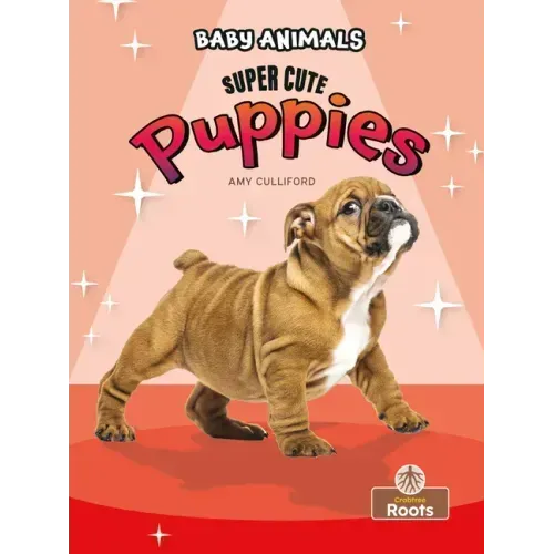 Super Cute Puppies