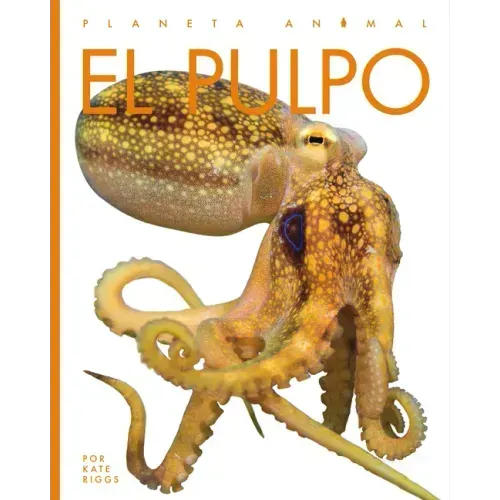 El Pulpo