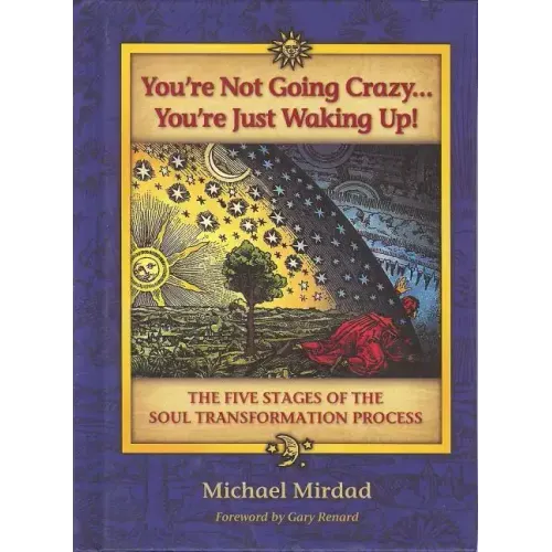 You're Not Going Crazy... You're Just Waking Up!: The Five Stages of the Soul Transformation Process