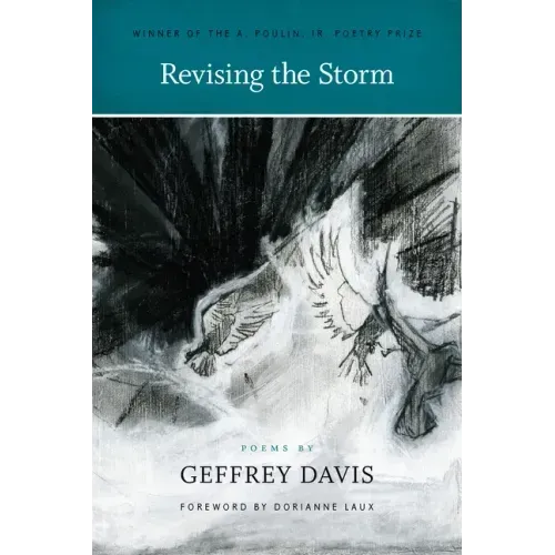 Revising the Storm