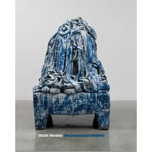 Matt Wedel: Phenomenal Debris
