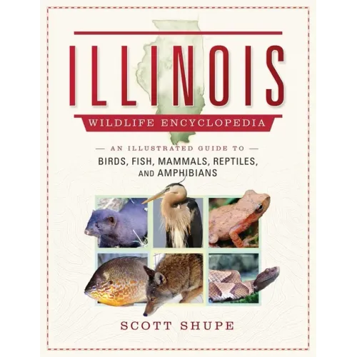 Illinois Wildlife Encyclopedia: An Illustrated Guide to Birds, Fish, Mammals, Reptiles, and Amphibians