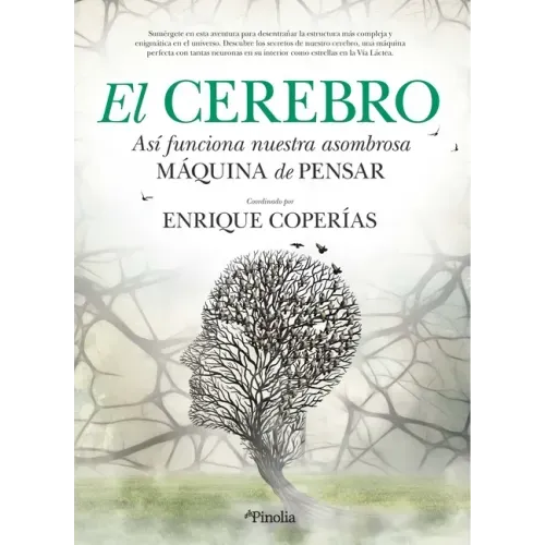 Cerebro, El