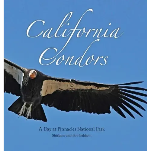 California Condors: A Day at Pinnacles National Park