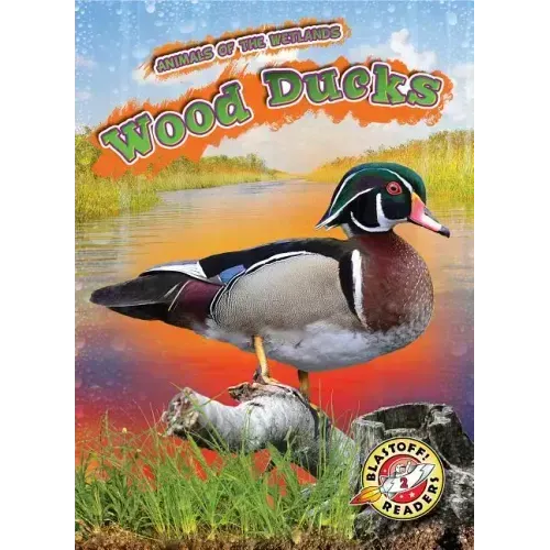 Wood Ducks