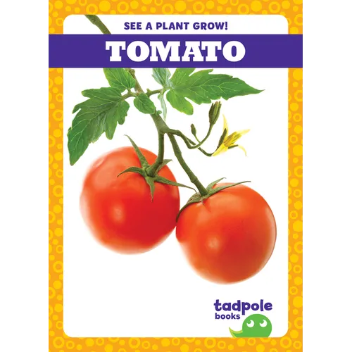 Tomato