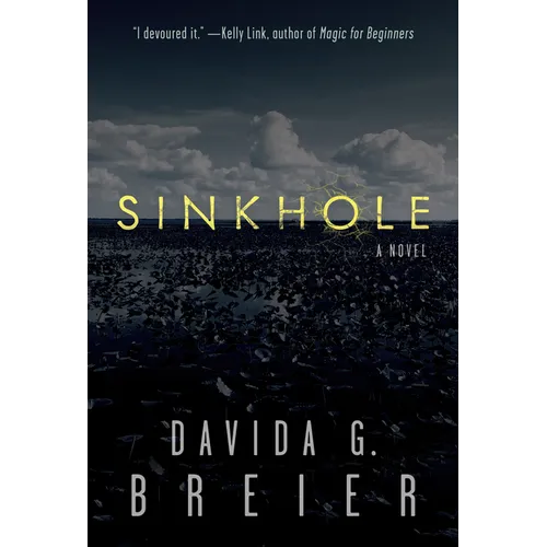 Sinkhole