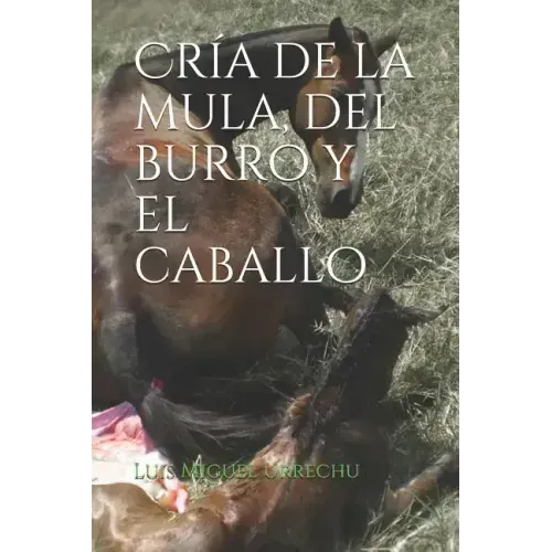 Cría de la Mula, del Burro Y El Caballo