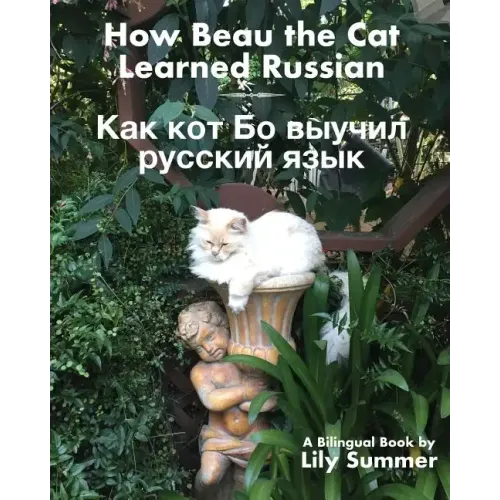 How Beau the Cat Learned Russian: A Bilingual Book