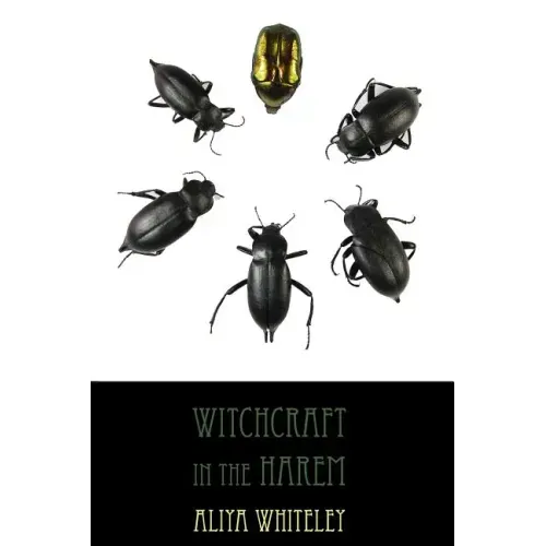 Witchcraft in the Harem