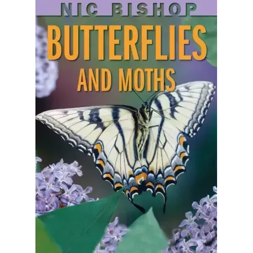 Nic Bishop: Butterflies and Moths