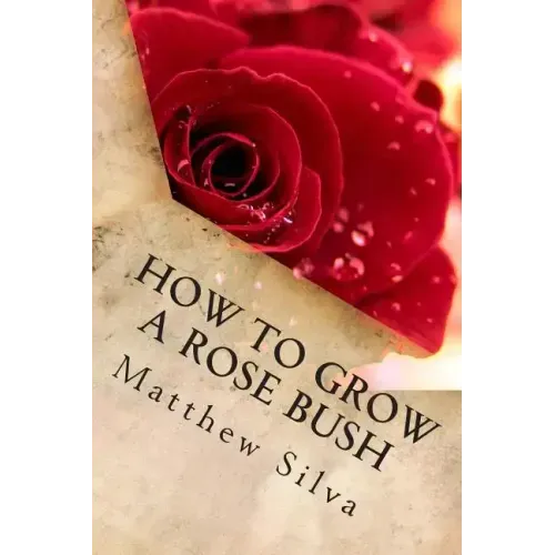 How To Grow A Rose Bush