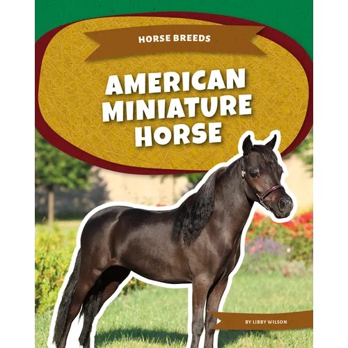 American Miniature Horse