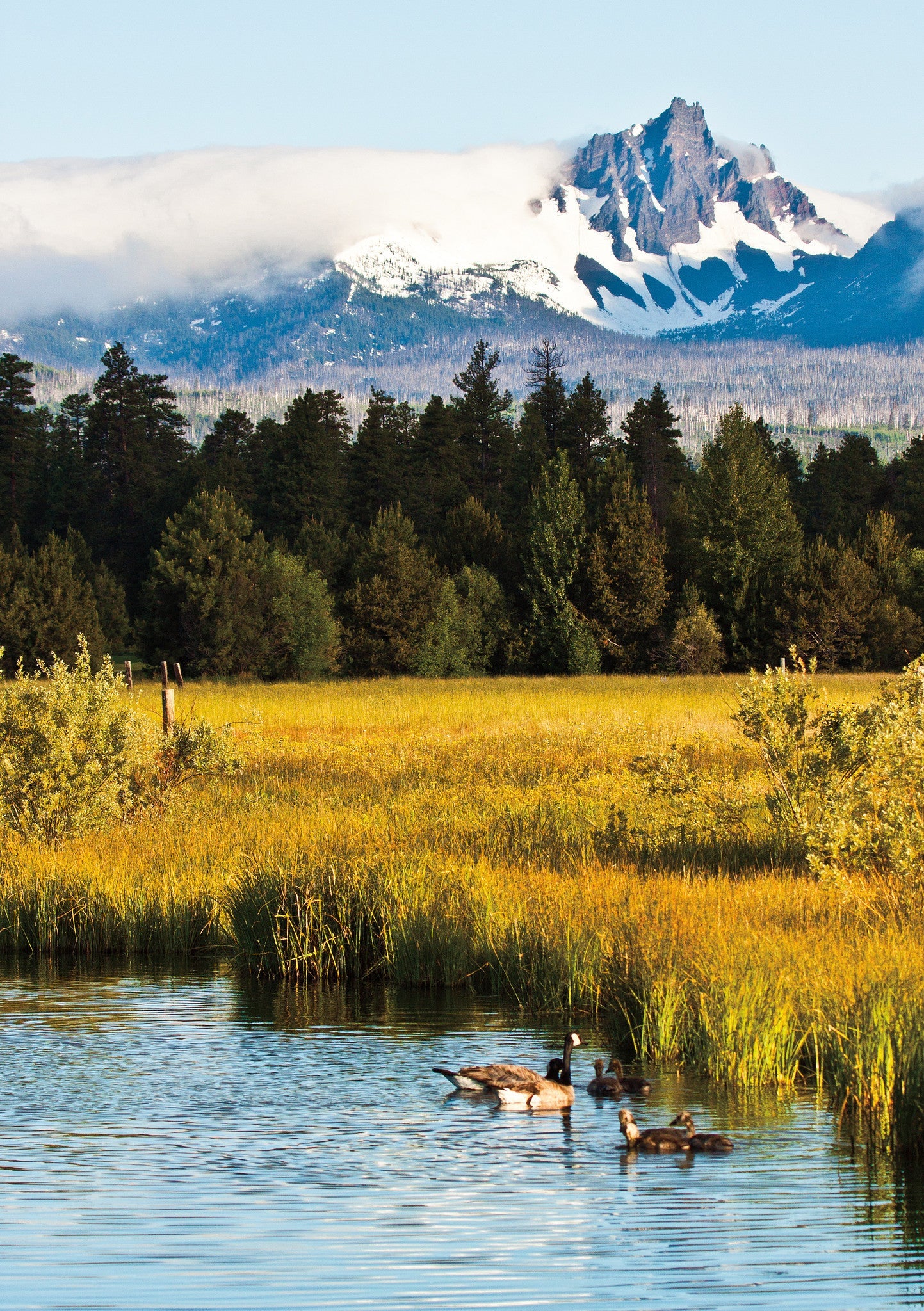 Capture Central Oregon Book