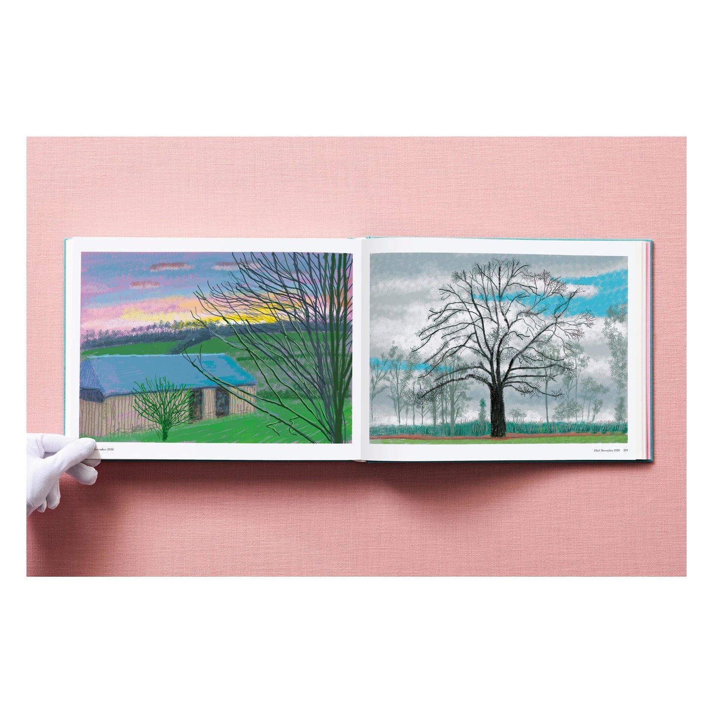 David Hockney. 220 for 2020 (English) Book