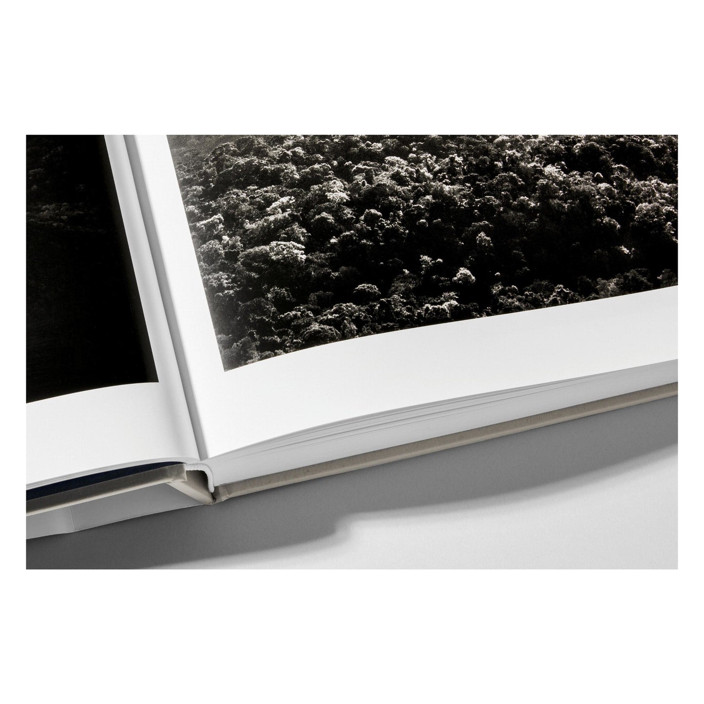 Sebastião Salgado. Amazônia (English) Book