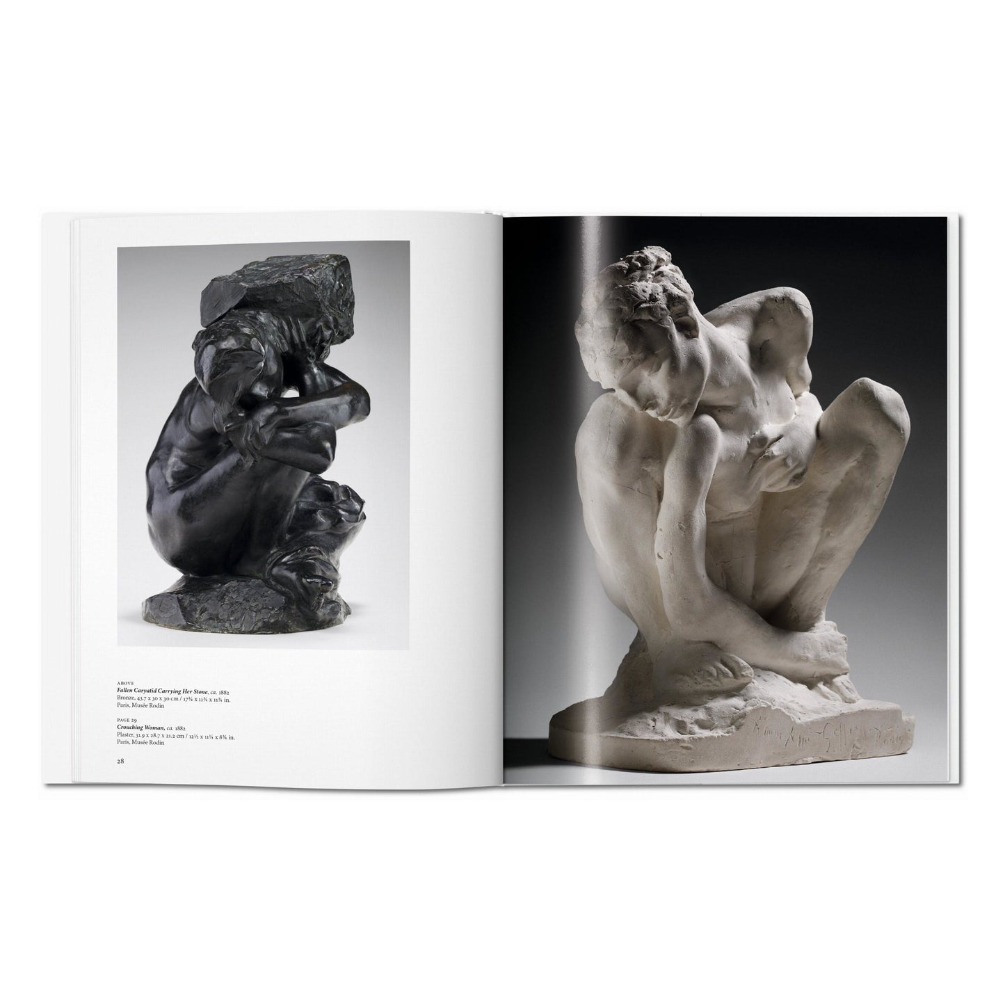 Rodin (English) Book