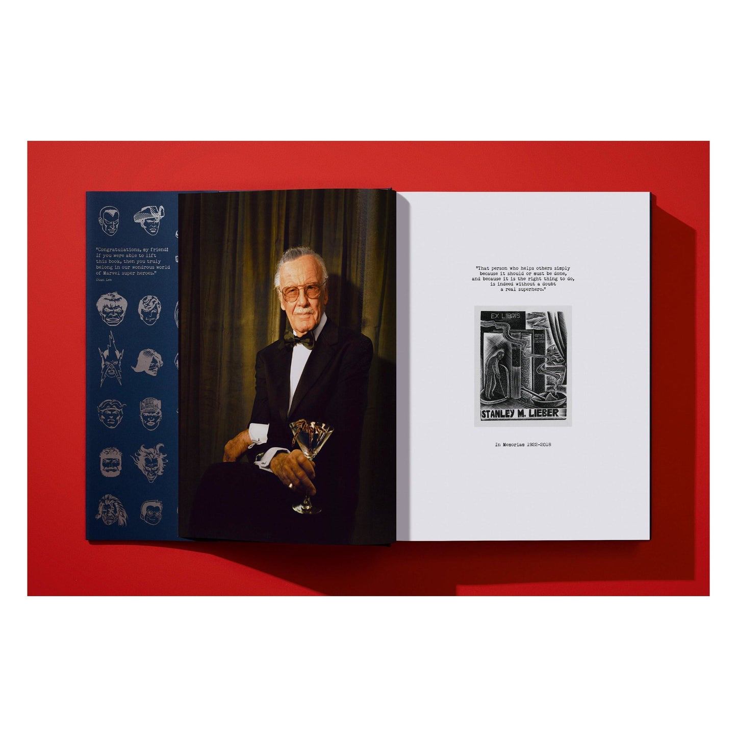 The Stan Lee Story (English) Book