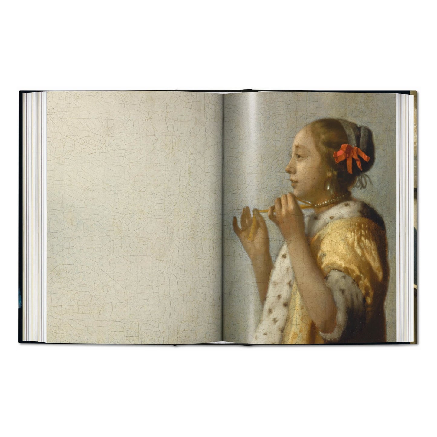 Vermeer. The Complete Works. 45th Ed. (English) Book
