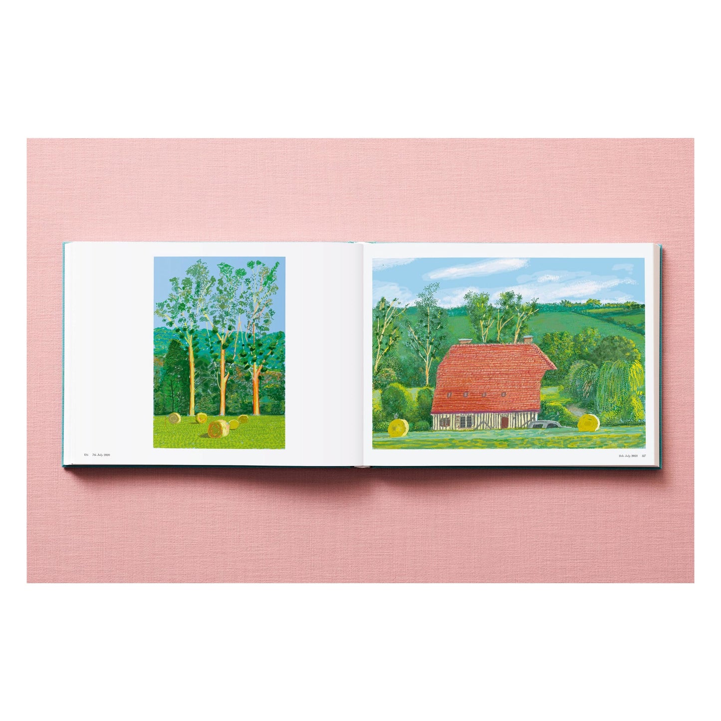 David Hockney. 220 for 2020 (English) Book