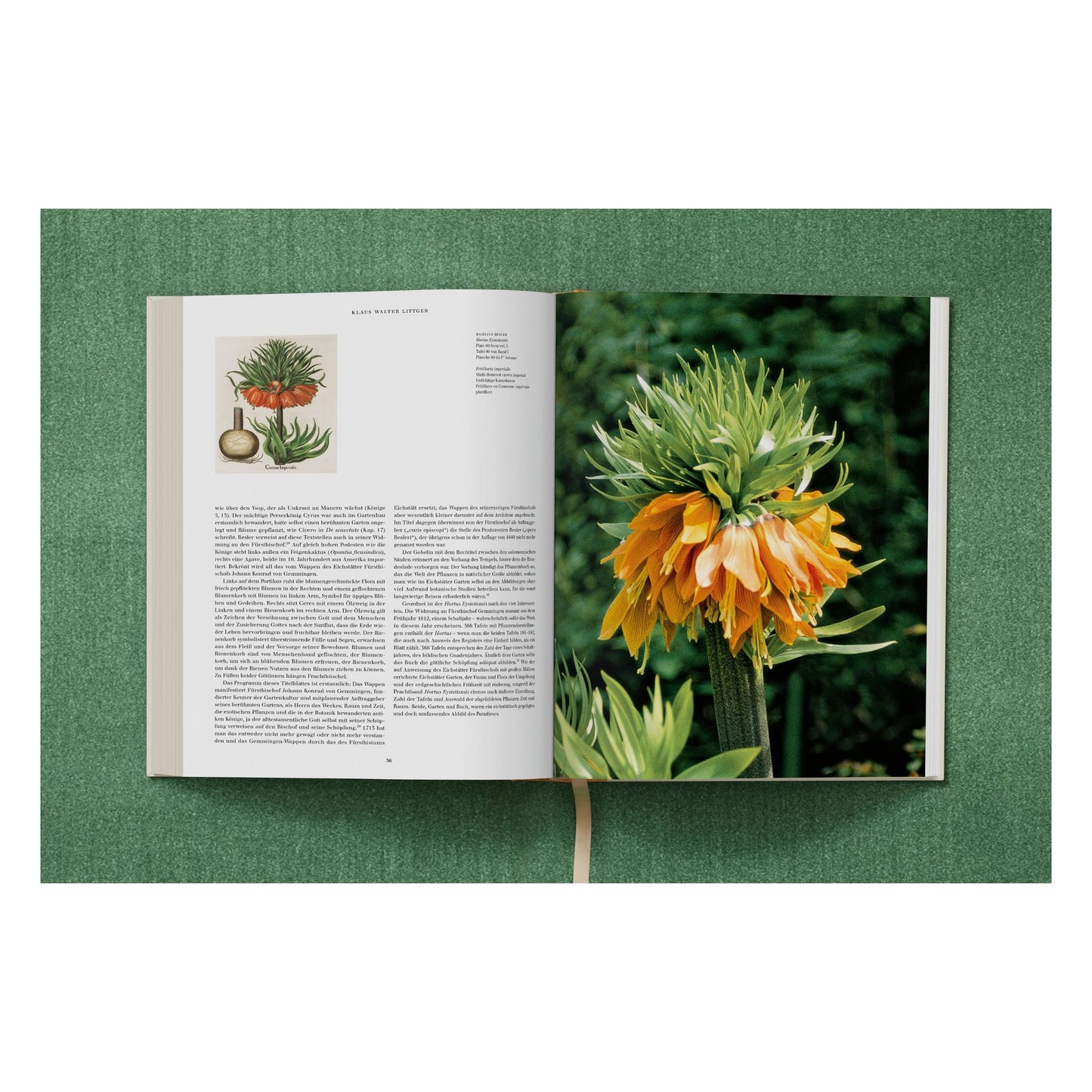 Basilius Besler. The Garden at Eichstätt (German, French, English) (FFE) Book