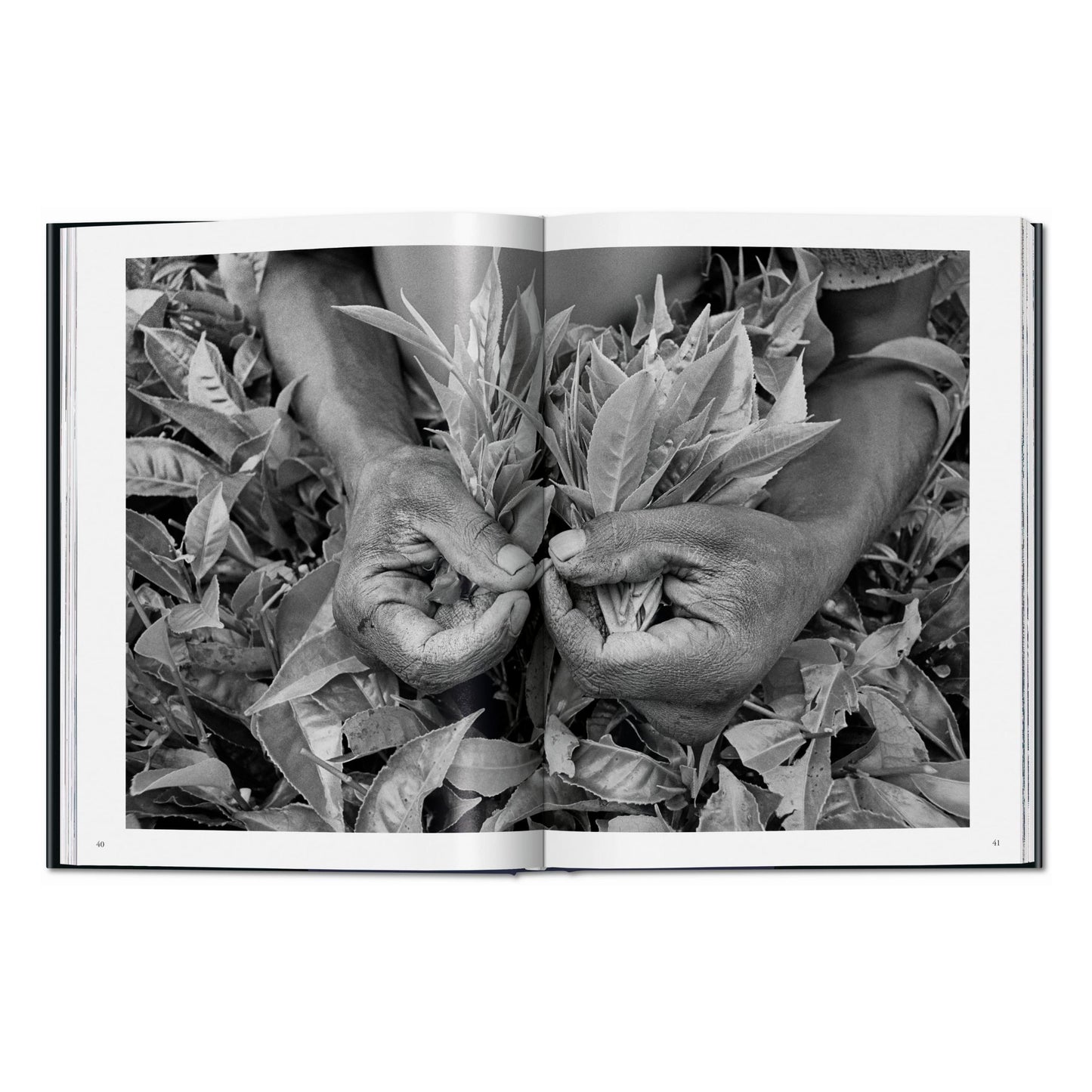 Sebastião Salgado. Workers. An Archaeology of the Industrial Age (English) Book