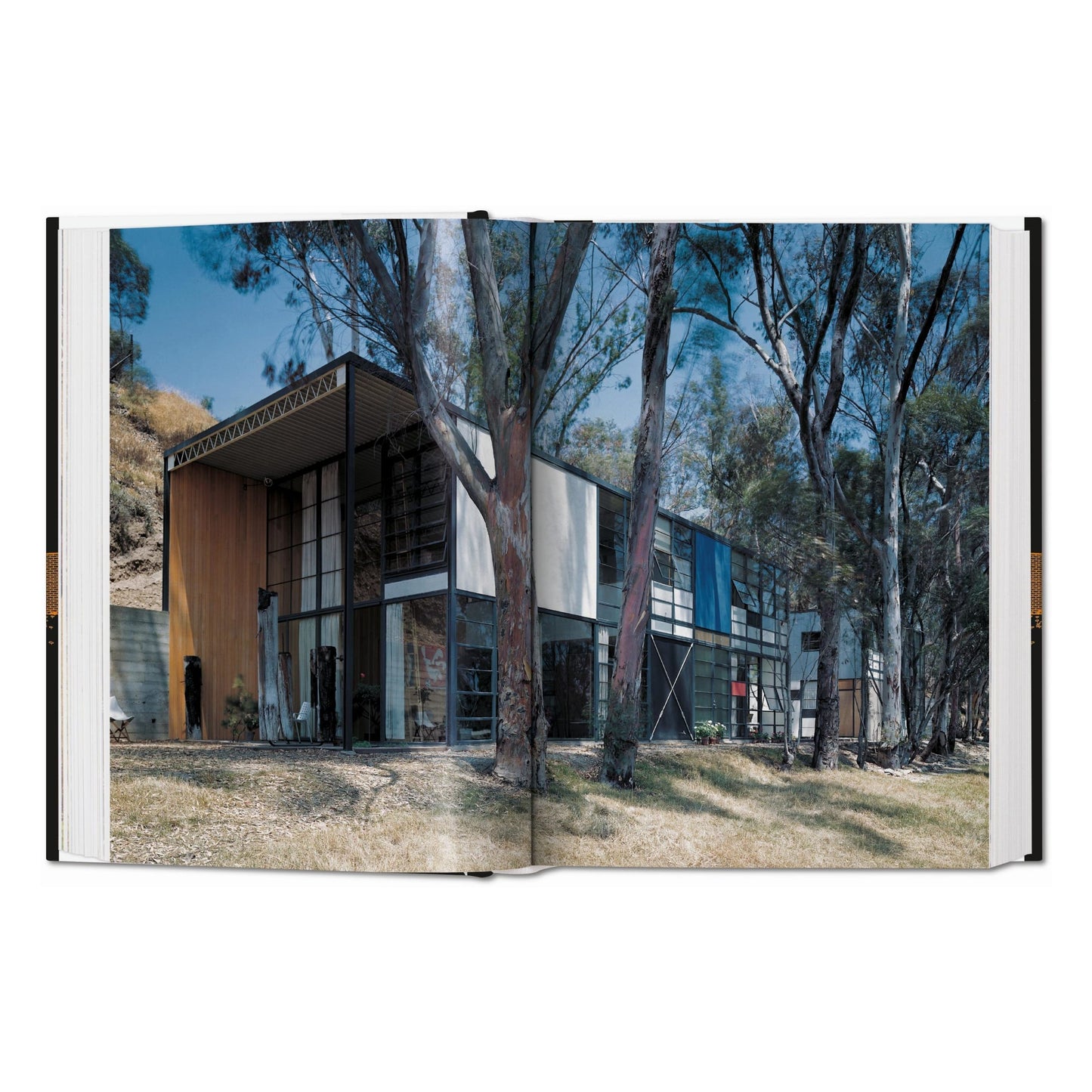 Case Study Houses. The Complete CSH Program 1945-1966. 45th Ed. (German, French, English) Book