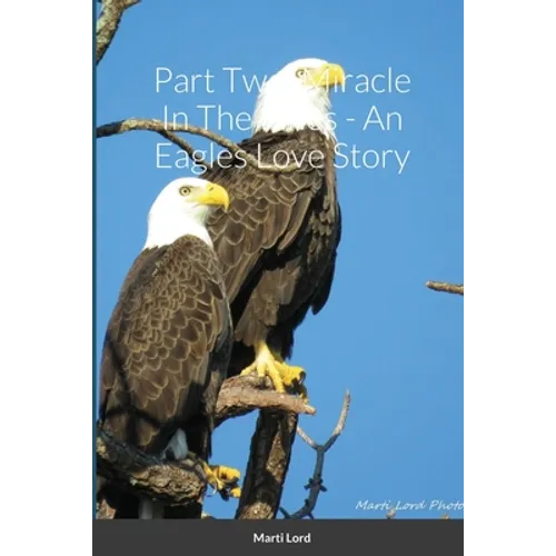 Part Two: Miracle In The Pines - An Eagles Love Story