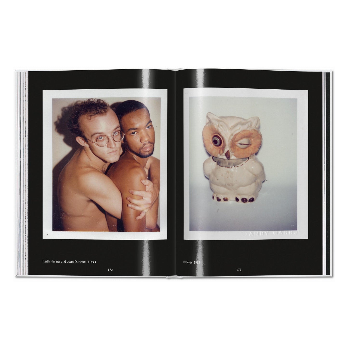 Andy Warhol. Polaroids 1958–1987 (English) Book