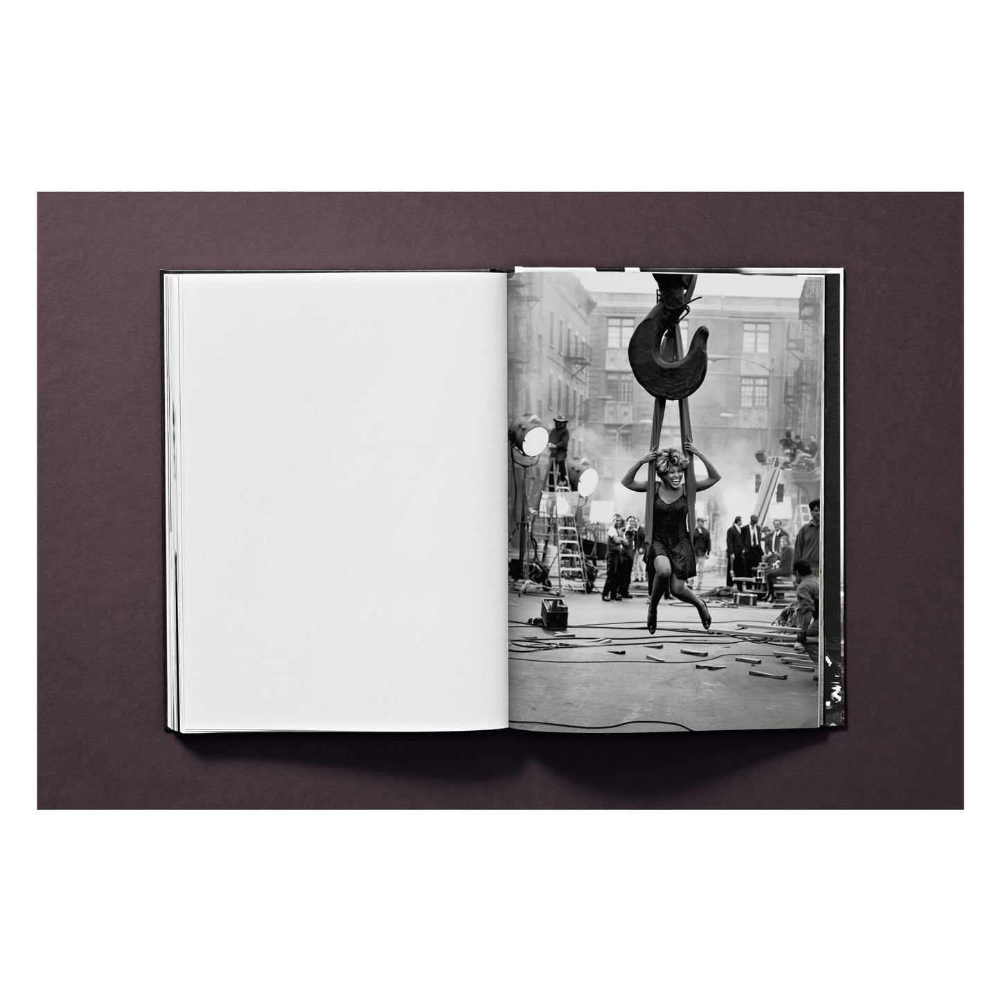 Tina Turner by Peter Lindbergh (German, French, English) Book
