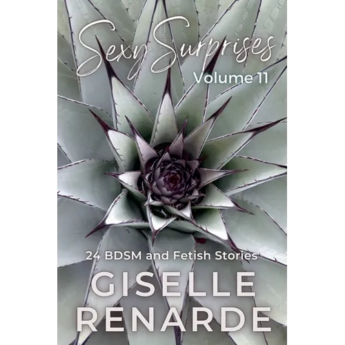 Sexy Surprises Volume 11: 24 BDSM and Fetish Stories