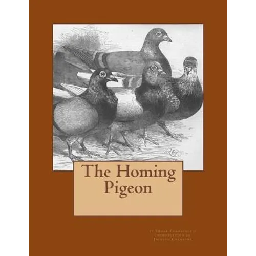 The Homing Pigeon