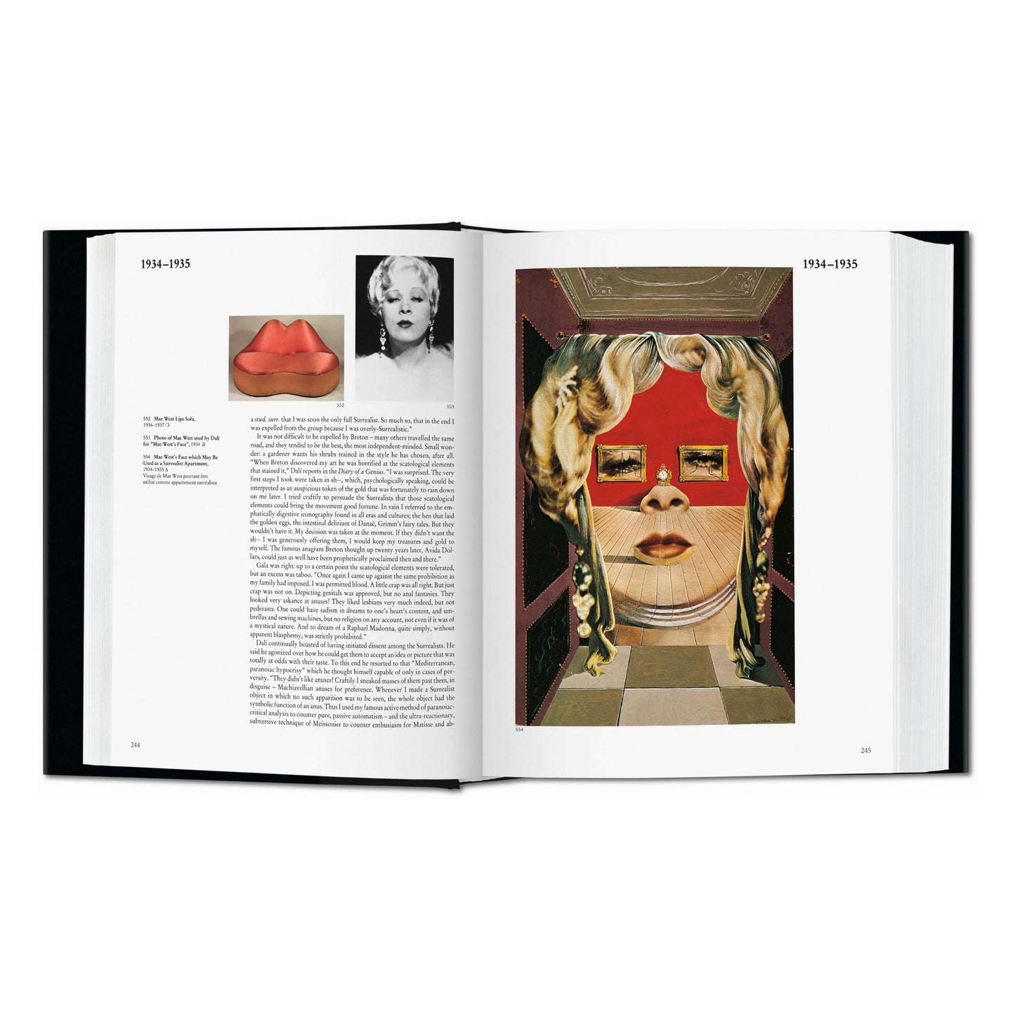 Dalí. The Paintings (English) Book