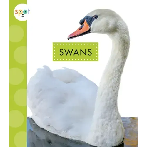 Swans