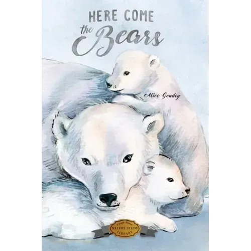 Here Come the Bears