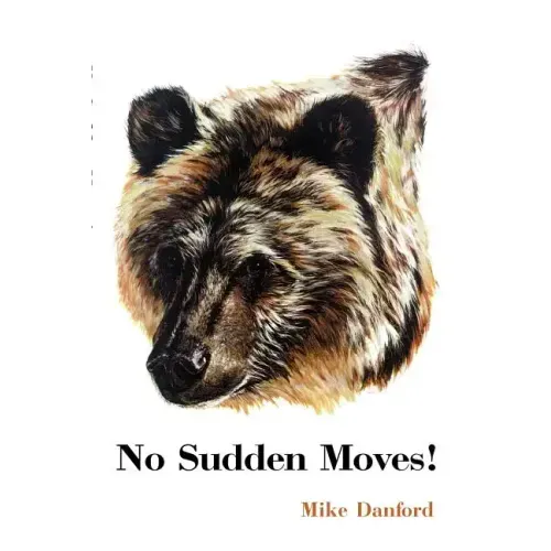 No Sudden Moves
