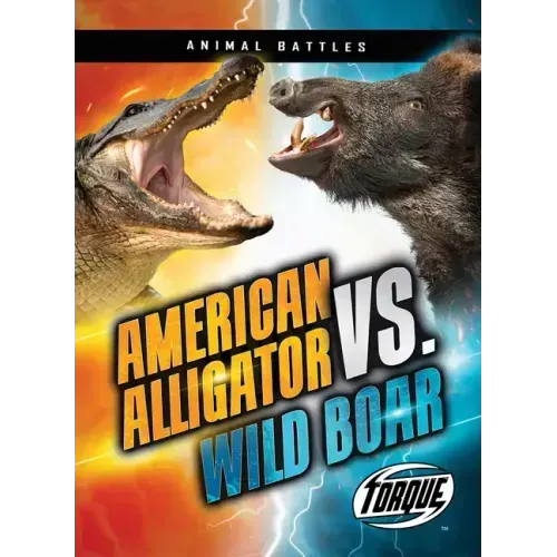 American Alligator vs. Wild Boar