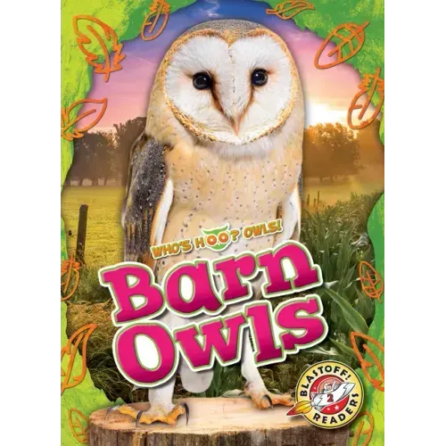 Barn Owls