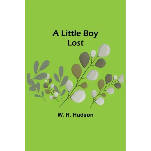 A Little Boy Lost