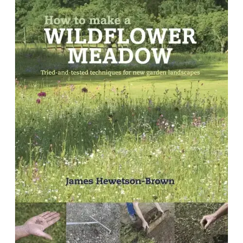 How to Make a Wildflower Meadow: Tried-And-Tested Techniques for New Garden Landscapes