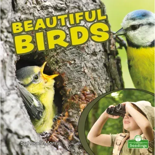 Beautiful Birds