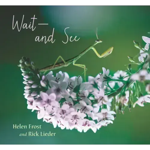 Wait and See