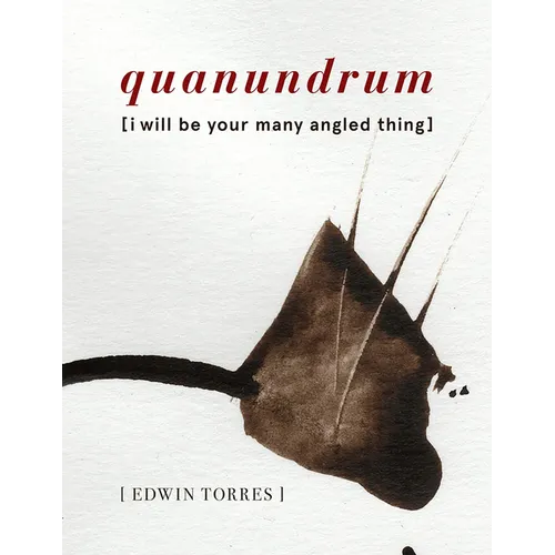 Quanundrum [I Will Be Your Many Angled Thing]