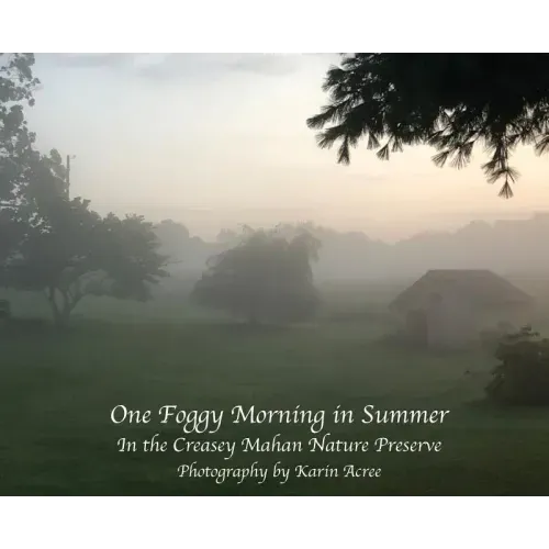 One Foggy Morning in Summer: In the Creasey Mahan Nature Preserve